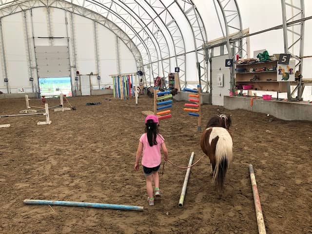 Mini Pony Mirabel - Image 1