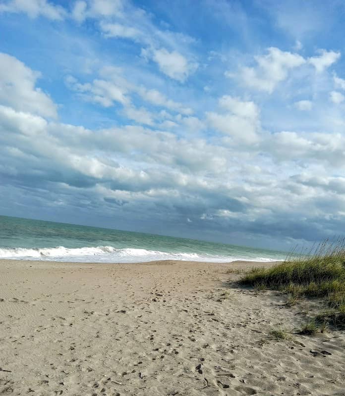 Coconut Drive Park Beach - Image 1