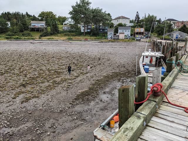 Margaretsville Pier - Image 3