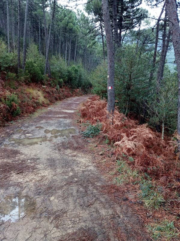 Cisterna - Image 2