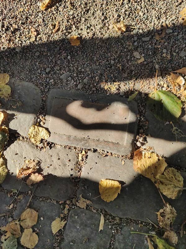 Pastorskans fall på en höft - Image 1