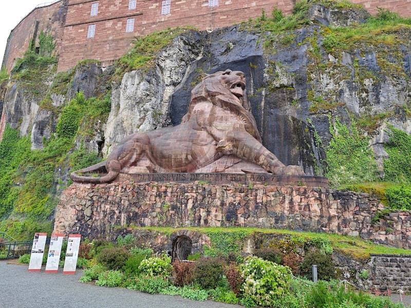 The Lion of Bartholdi - Image 2