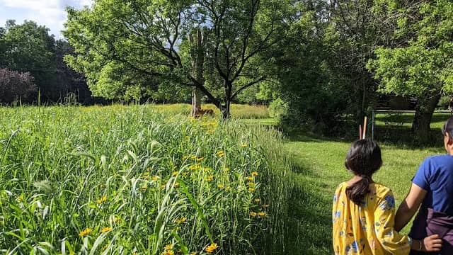 Monarch Waystation - Image 1