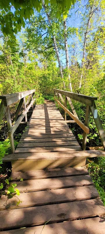 Speyside Footbridge - Image 1