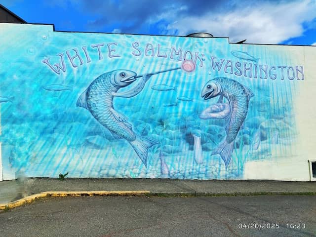 Salmons of White Salmon painting - Image 1