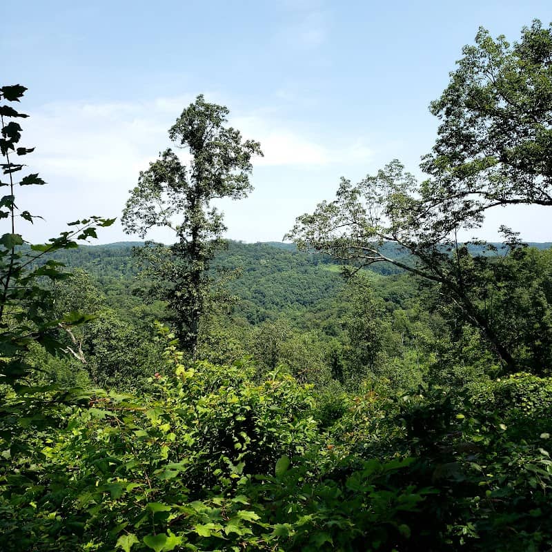 Shawnee State Park Nature Center - Image 1