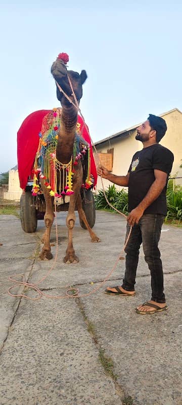 New Desert Safari Pushkar - Image 2