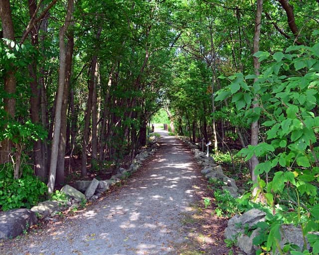 Sheldon Nature Area - Image 1
