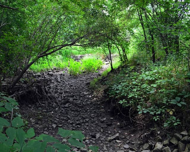 Sheldon Nature Area - Image 3