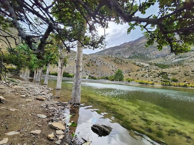 Terri Lake - Image 1