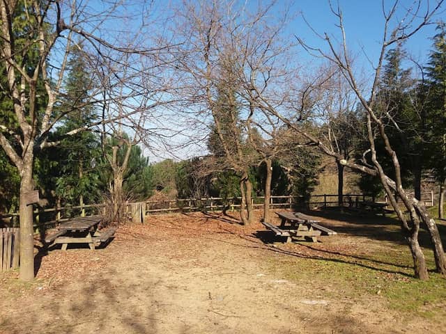 Picnic Park - Image 1
