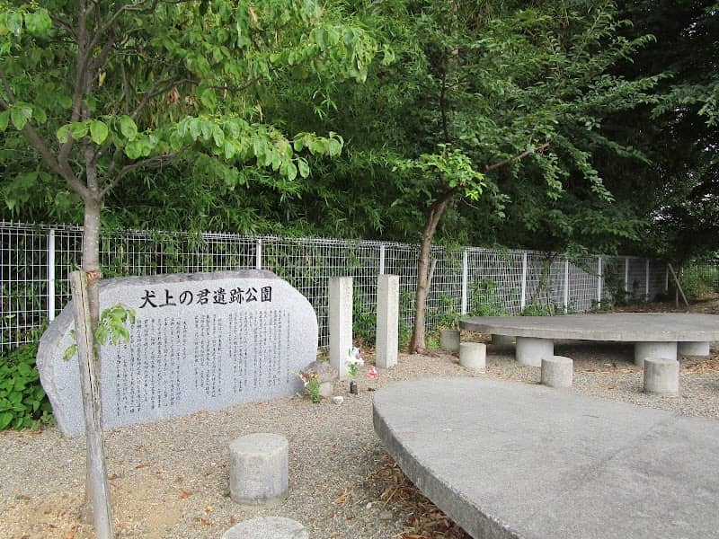 Inukaminokimiiseki Park - Image 1