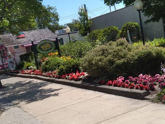Pocket Park - Image 2