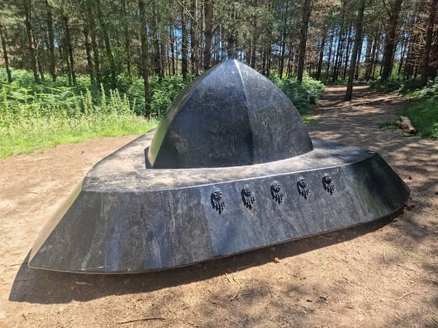 Rendlesham Forest - Image 1