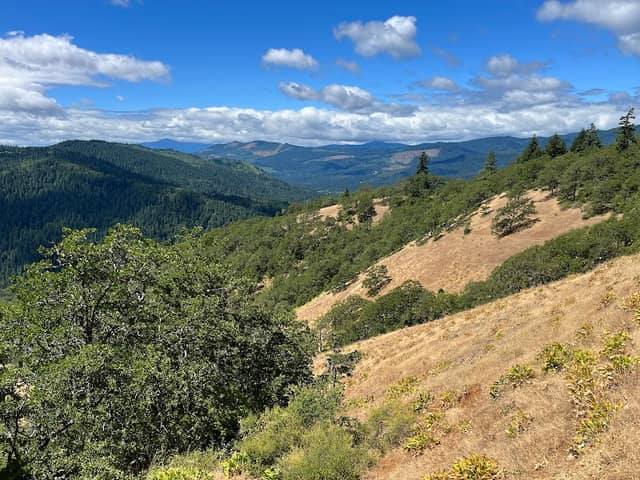 Weldon Wagon Road Trail Head - Image 1