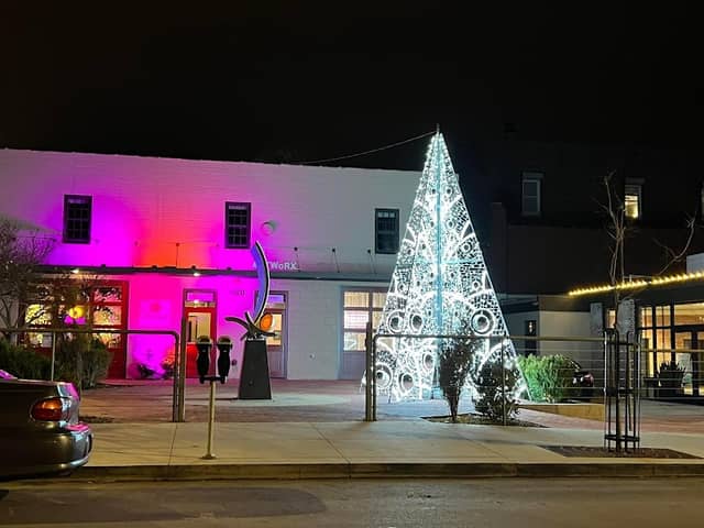 The Serendipity Tree - Image 1