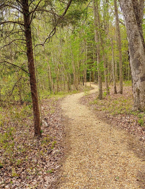 Five Forks Battlefield - Image 2