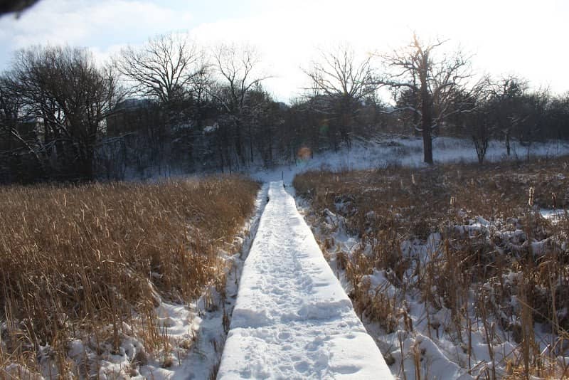Maple Wayside - Image 1