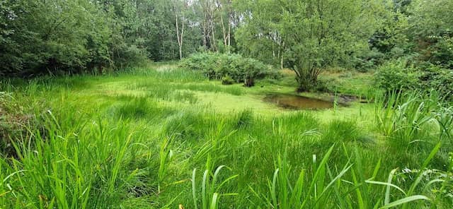 Blakes Pond - Image 1