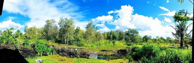 Mirip Bioma Sabana - Image 1