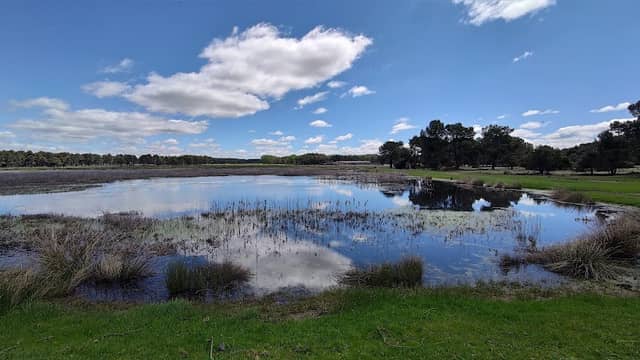 Lagunas de Cantalejo - Image 1