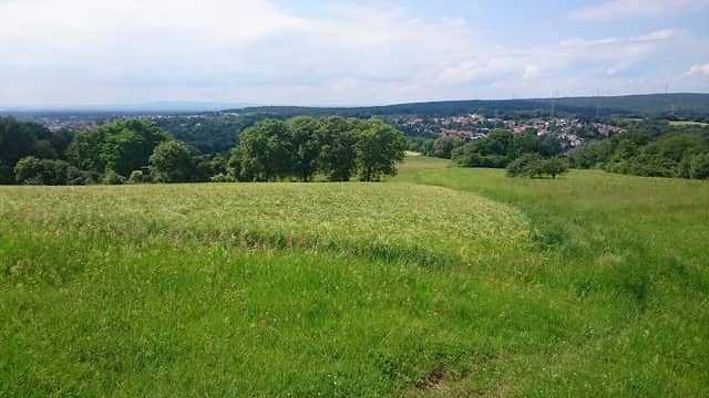 an dem Berg - Image 1