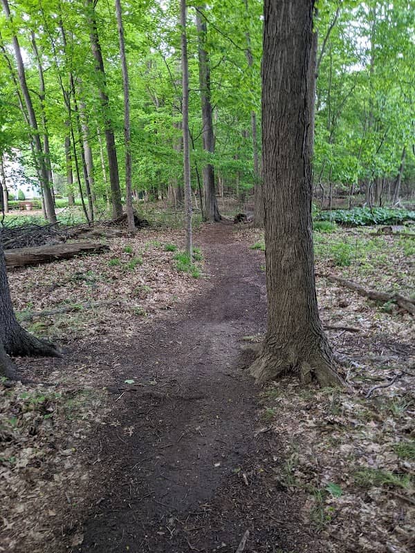 Bluegrass Park and Nature Preserve - Image 2
