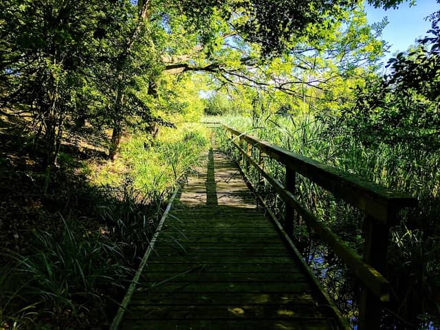 Elfield Nature Park - Image 1