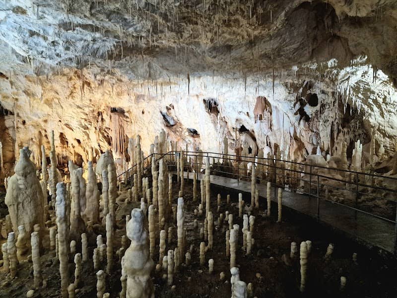 The Bears' Cave - Image 1