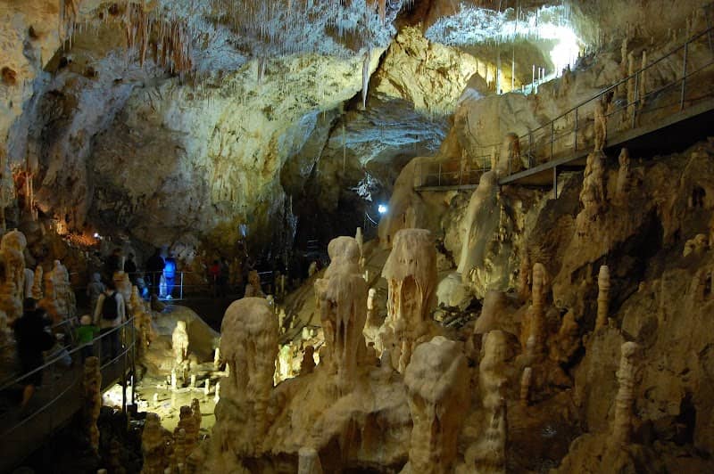 The Bears' Cave - Image 2