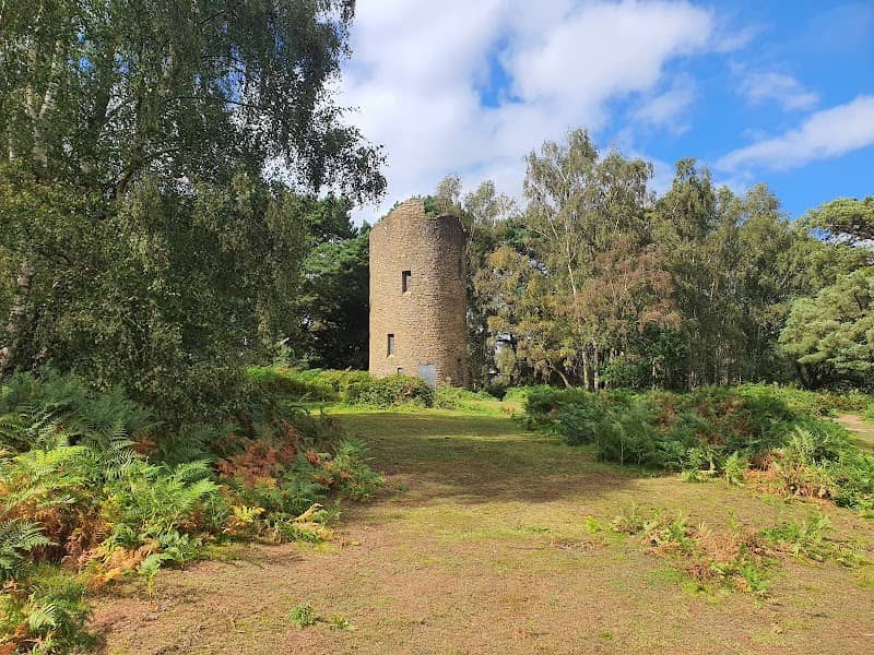 Chinthurst Hill - Image 2