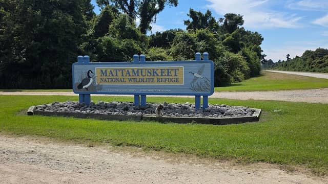 Mattamuskeet National Wildlife Refuge - Image 3