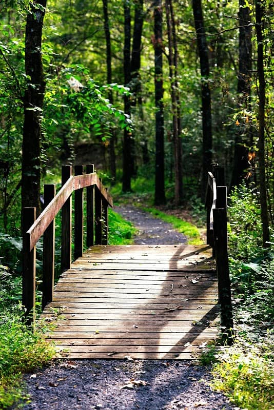 Clinton Community Nature Center - Image 2