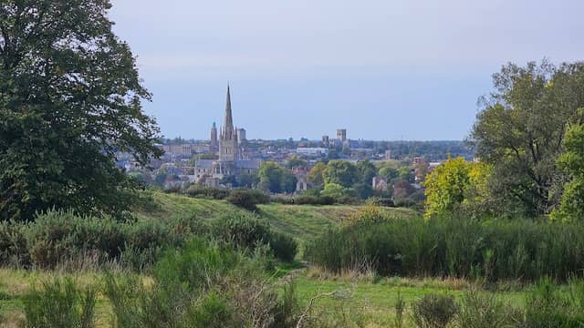 Mousehold Heath - Image 1