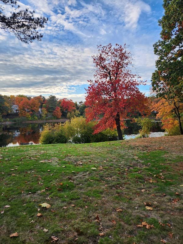 Gallagher Park - Image 1