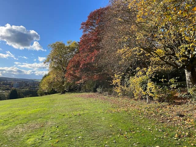 Tapton Labyrinth - Image 2