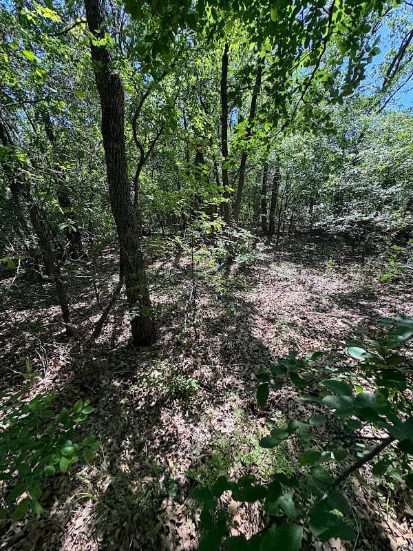 Argyle Trail Park - Image 2