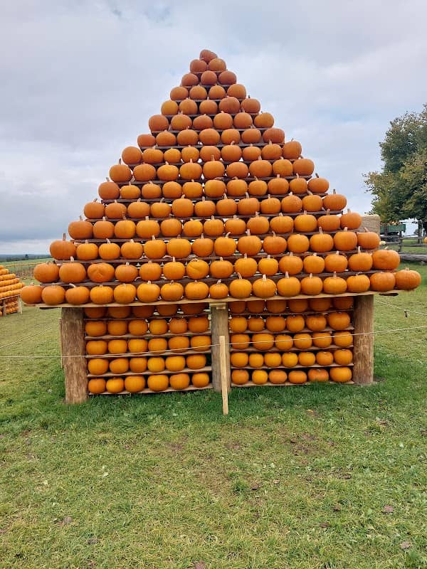 Dýňový svět - Statek u Pipků - Image 1