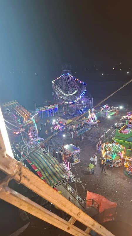 Bijasan mata mela - Image 2