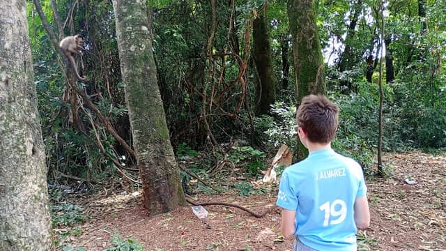 Bosque dos macacos - Image 1