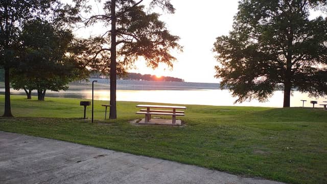 Persimmon Hill - Image 1