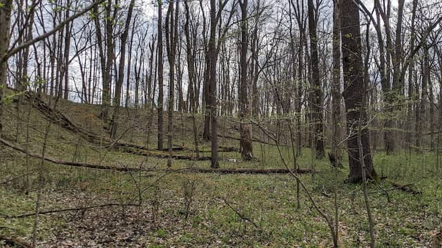 Parkersburg Wildlife Area - Image 2
