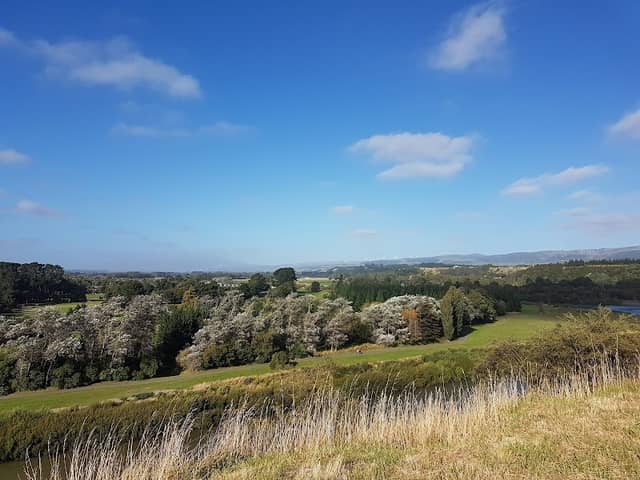 Te Motu o Poutoa - Image 2