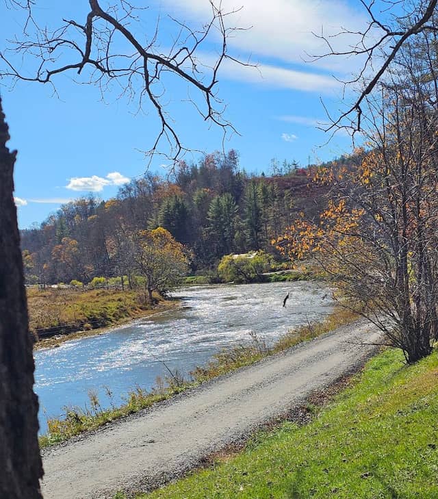 Plumb Nearly New River Access - Image 2