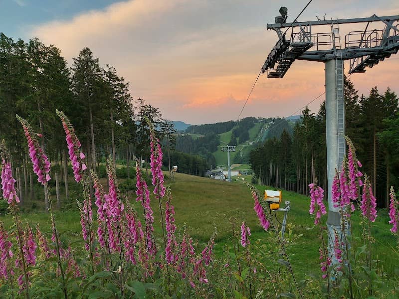 Sürenberg Bergstation - Image 1