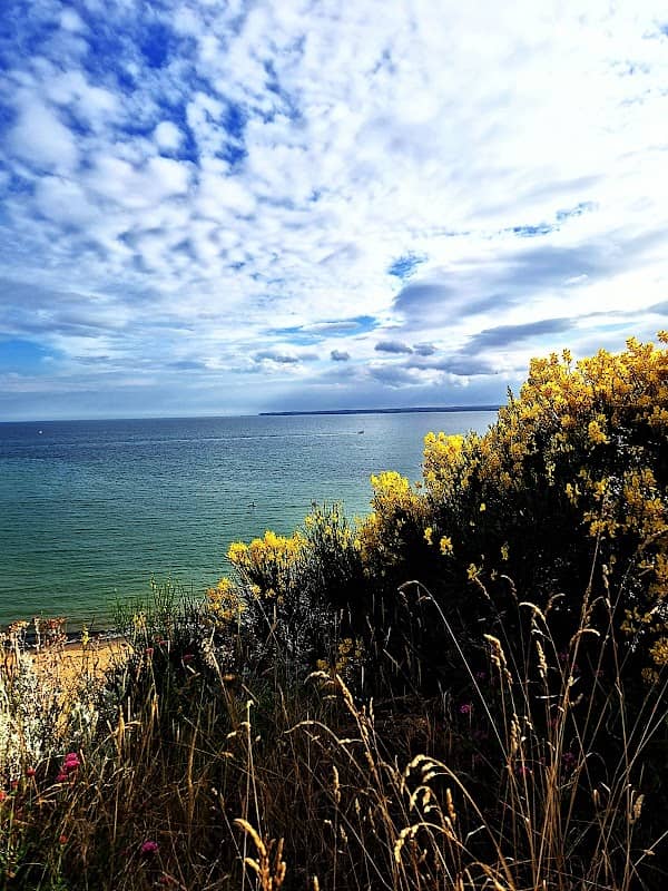 Westcliffe Promenade - Image 2