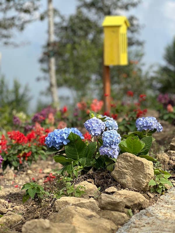 Butterfly Garden - Image 2