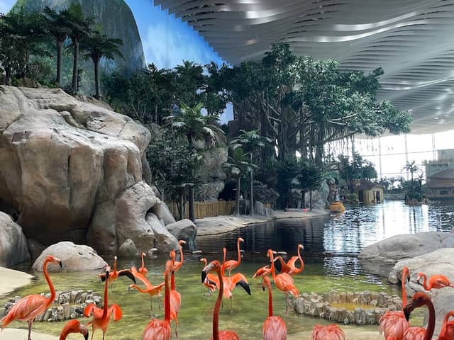 SeaWorld Abu Dhabi | سي وورلد جزيرة ياس، أبوظ - Image 1