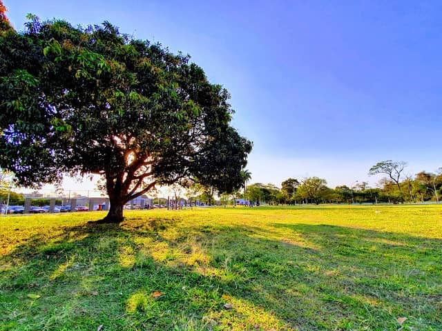 the Herbal Park - Image 1