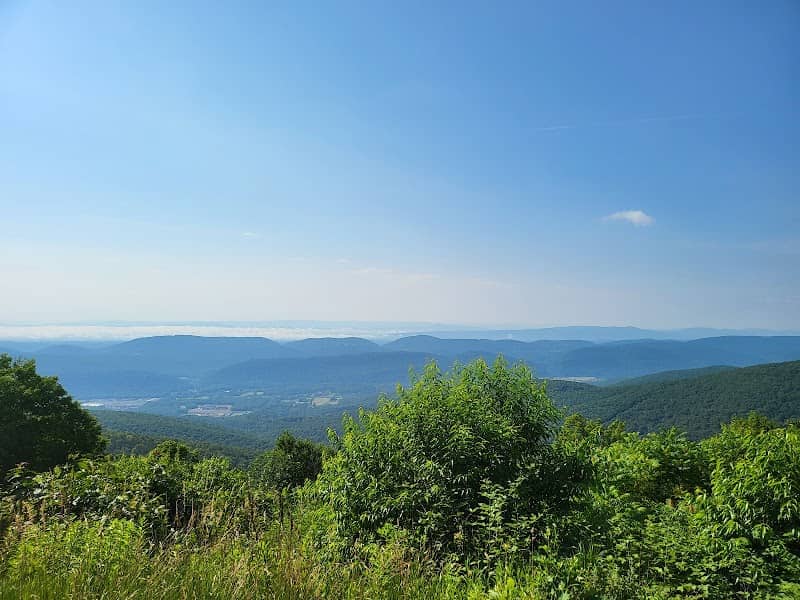 Allegheny Wildlife Management Area - Image 1